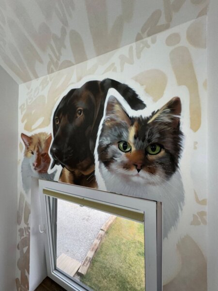 Úroveň C - VYSOKÁ